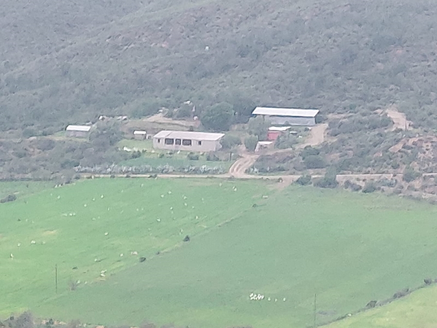 4 Bedroom Property for Sale in Oudtshoorn Rural Western Cape